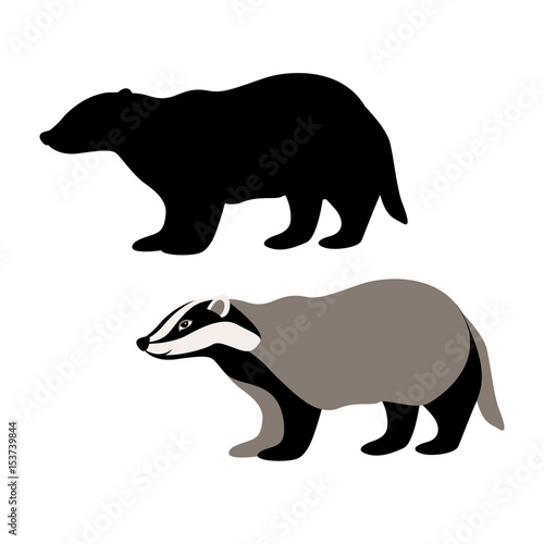 Fotografie, Obraz badger vector illustration style Flat black silhouette