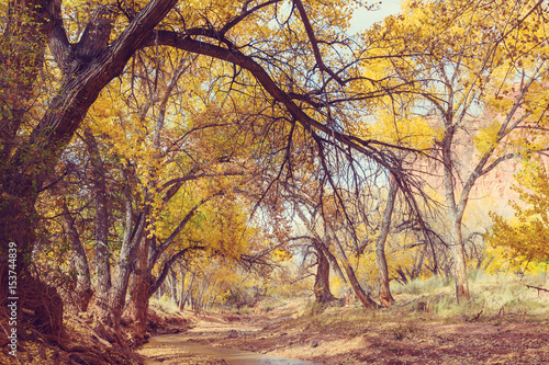 Autumn creek © Galyna Andrushko