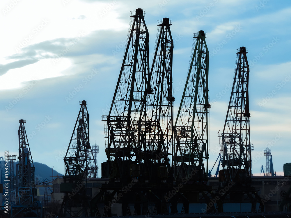 Silhouettes of cargo cranes in the sea port