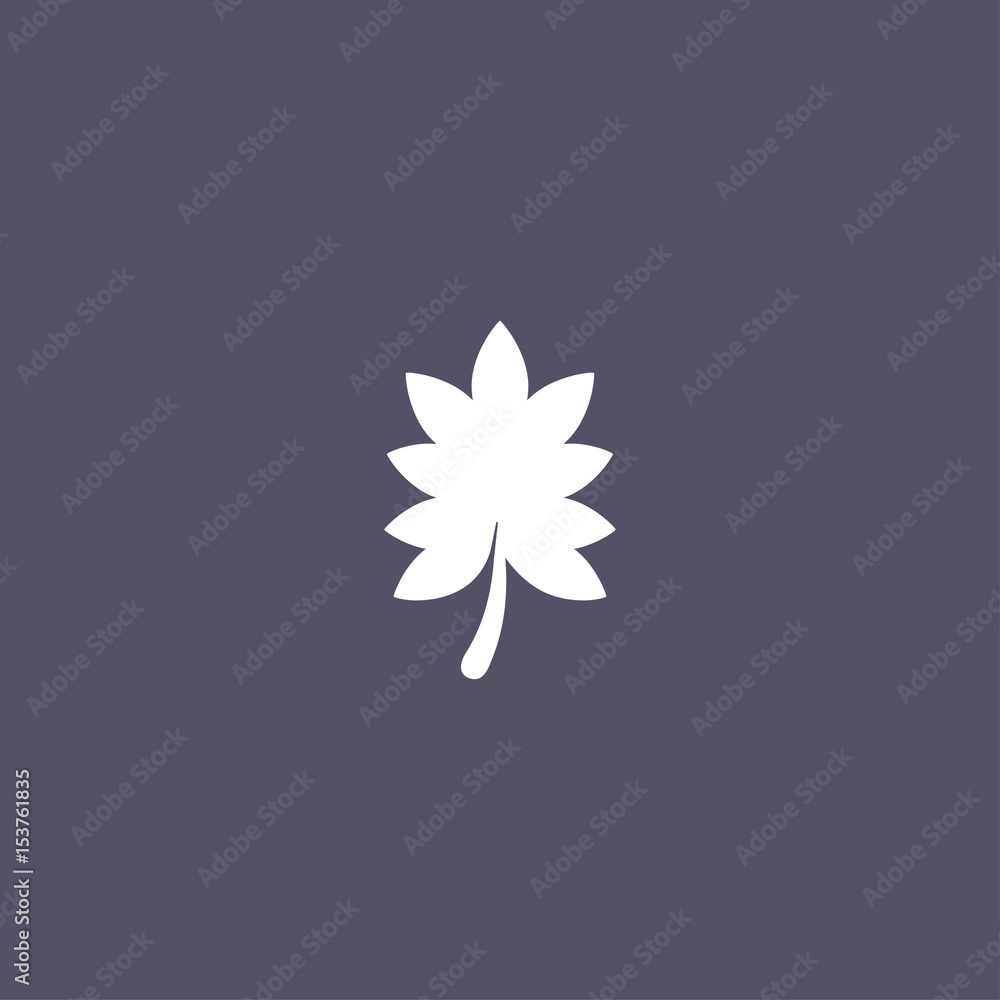 leaf icon. nature sign