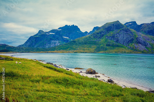 Fjord in rainy weather. Rocky beach in evening, White sand on the beach. Beautiful nature of Norway. Lofoten islands