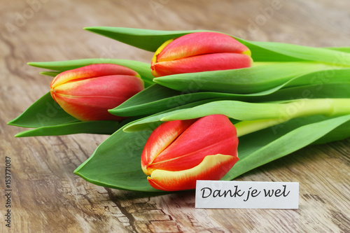 Fotografía Dank je wel (which means thank you in Dutch) card with red tulips on wooden surf