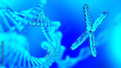 DNA, X-chromosome, 3d rendering © ustas