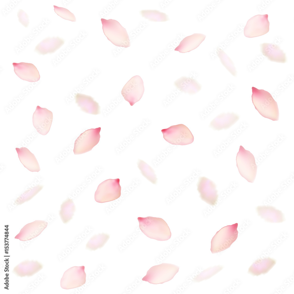 Flower Pink Petals Background. Vector Flower Pink Petals Background. Vector