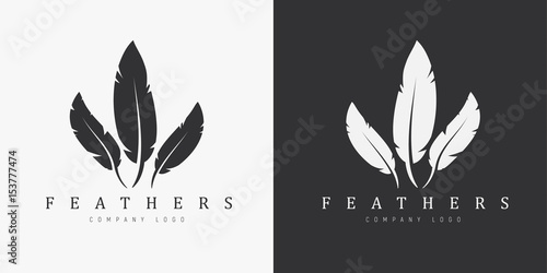 Logo design with three feathers and company name.
