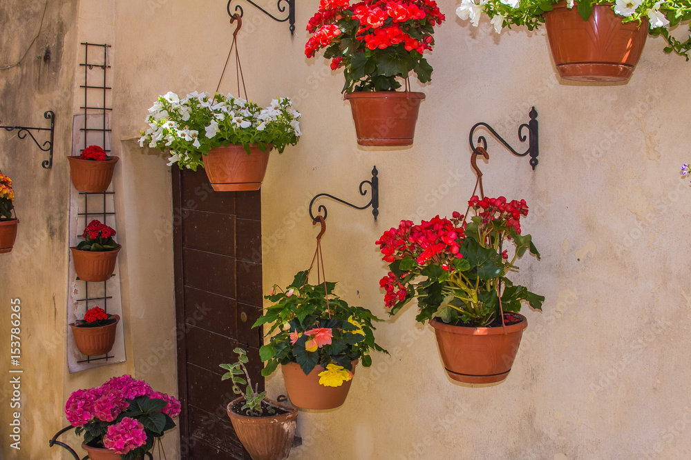 Entrata di una casa decorata con vasi di fiori appesi al muro Stock Photo |  Adobe Stock