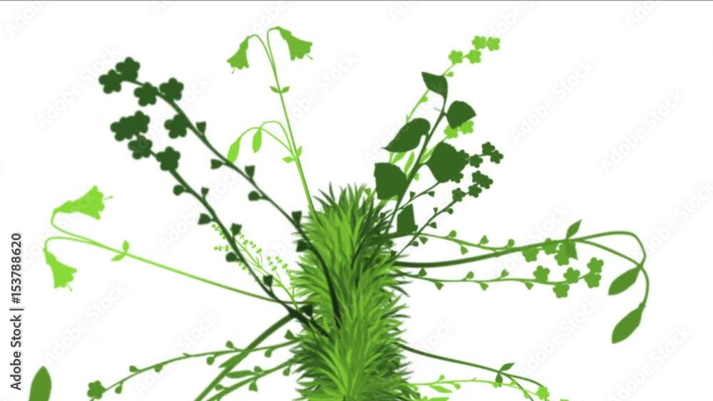 4k lush flower leaves crops shrubs bushes plant grass growing. 4k lush flower leaves crops shrubs bushes plant grass growing.
