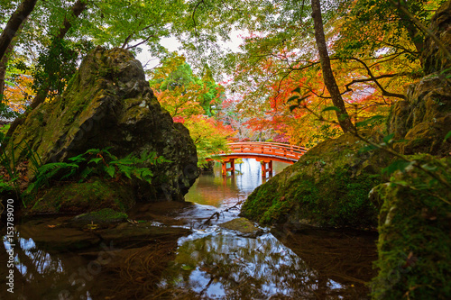 Mountain creek in the forest of Japan