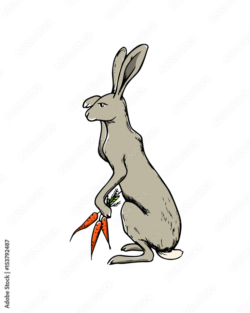 Obraz premium Hand drawn hare