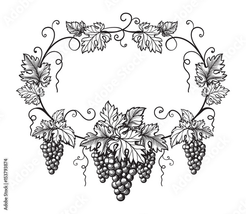 frame of grapes monochrome sketch. Hand drawn grape bunches.