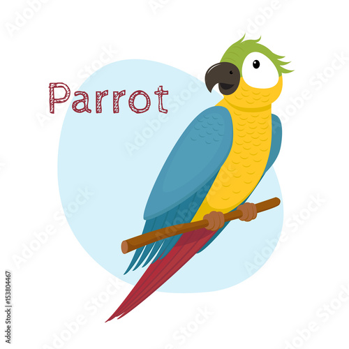 Cute macaw, ara parrot sitting on tree branch, tropical, exotic bird, cartoon vector illustration isolated on white background. Cartoon style macaw parrot sitting on a branch