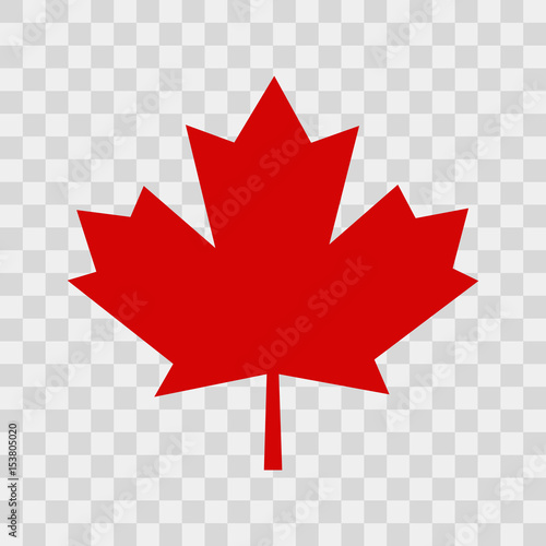 Vászonkép Canada leaf