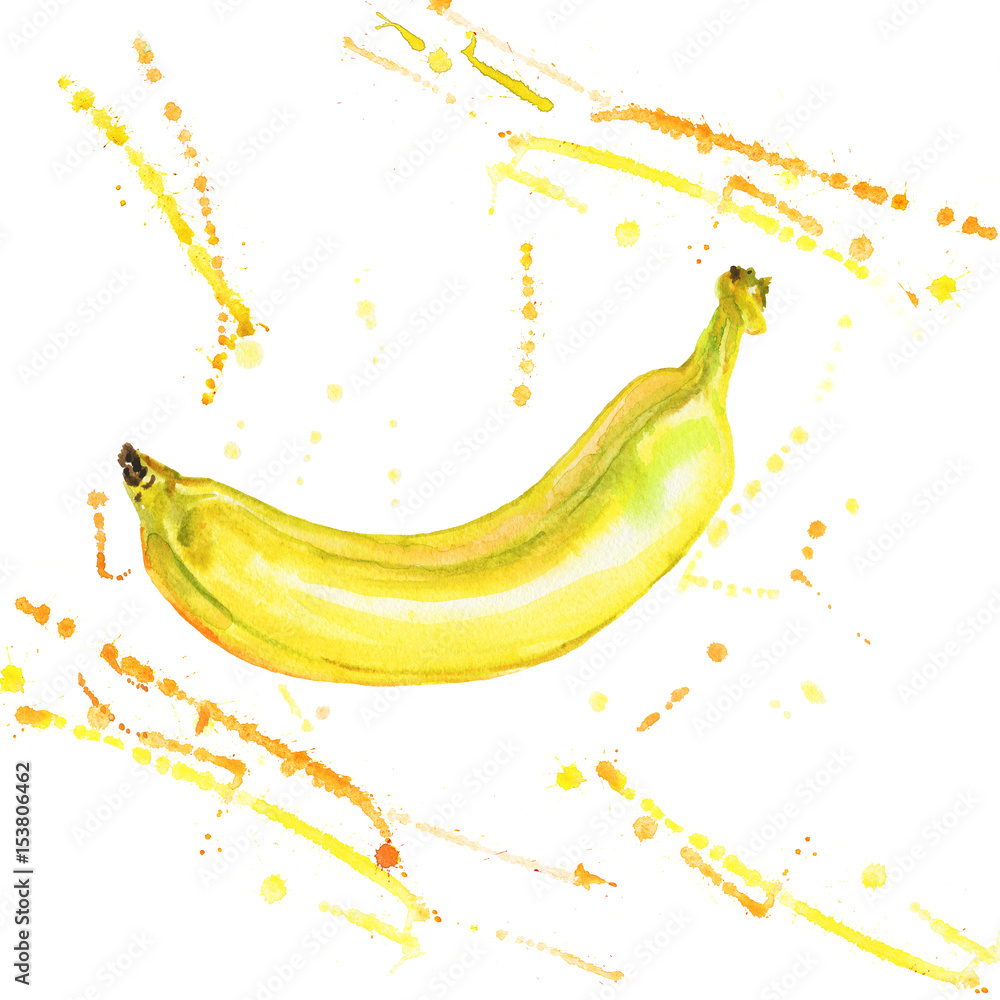 Painting banana with splashes. Hand drawn isolated fresh tropical fruit. Watercolor vegetarian summer illustration on white background