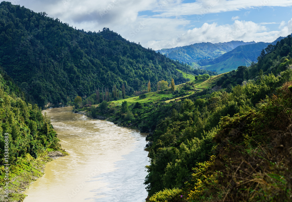 Panoramic beautiful scenery of Whanganui river road in National Park in Autumn , Whanganui , North Island of New Zealand