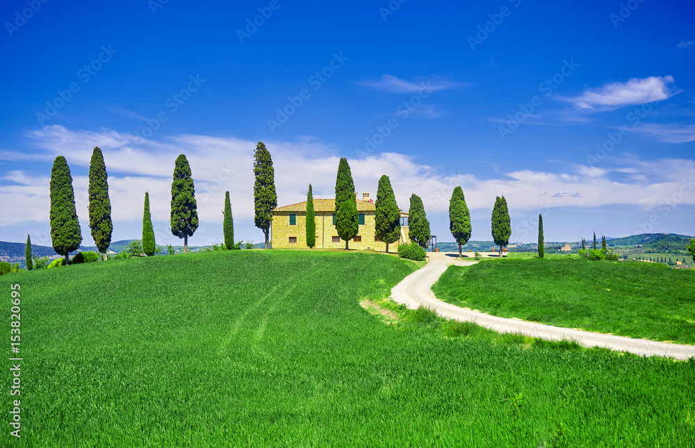 Tuscany Tuscan Landscape with s shaped Road.