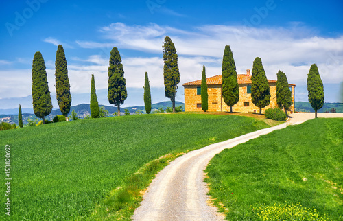 Tuscany Landscape with Cypress Trees