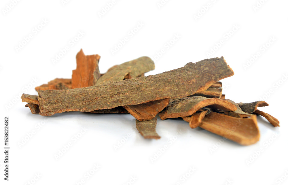 cinnamon bark on white isolate background side view