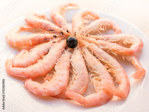 cooked pink prawns in their shells displayed in a spiral on a white plate as seafood tapas in Spain