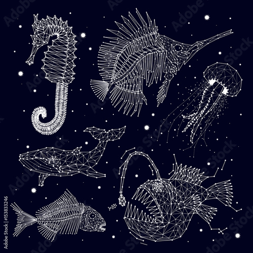 Skeleton of fish, whale, jellyfish, hunter, predator, sea horse, porcelain, constellation, stars, space, vector