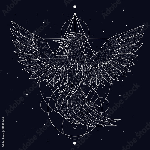 Phoenix, fire and ashes, rebirth, mystic bird, print, constellation, star, space, vector