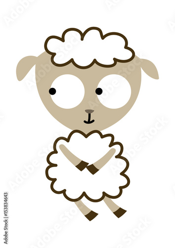 curious baby sheep