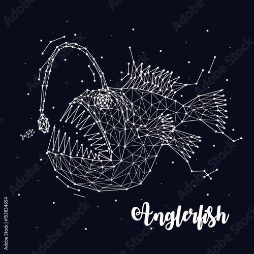 Fish lantern, hunter, predator, trap, constellation, space, stars, sea creature, vector