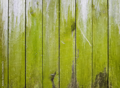 Wooden fence covered in green moss