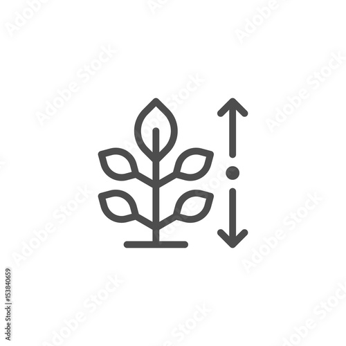 Plant height line icon