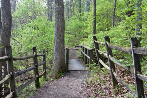 The narrow bridge on the trail in the woods.