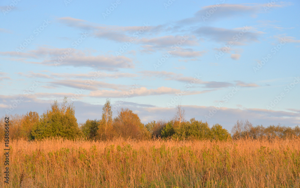 Landscape with field by evening. Landscape with field by evening.