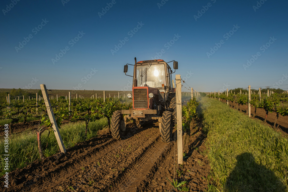 Fototapeta premium Working machines on the grape field
