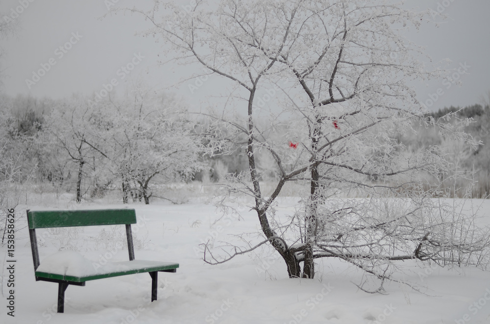 Park bench and tree with red butterfly in winter.