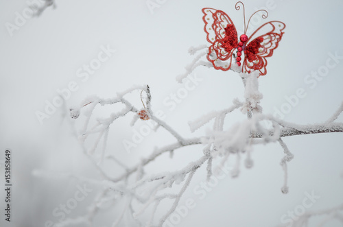 New year christmas concept. Red butterfly on winter tree. photo