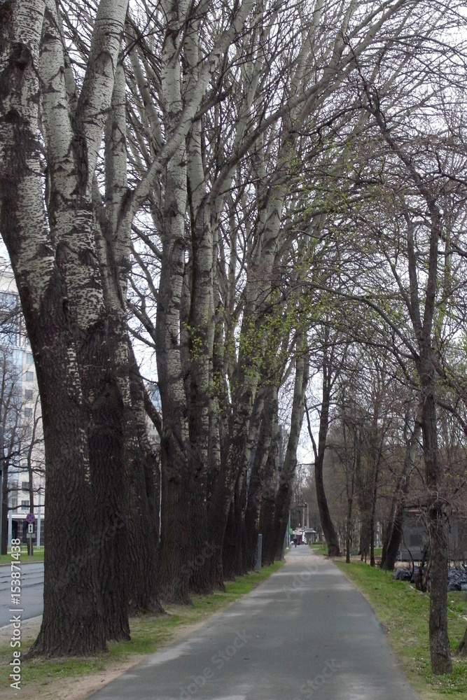 In the park. Spring. Rest in the park.