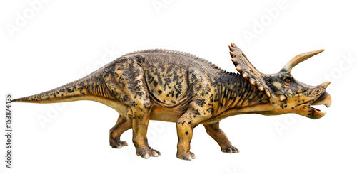Papier peint Dinosaur triceratops and monster model Isolated white background