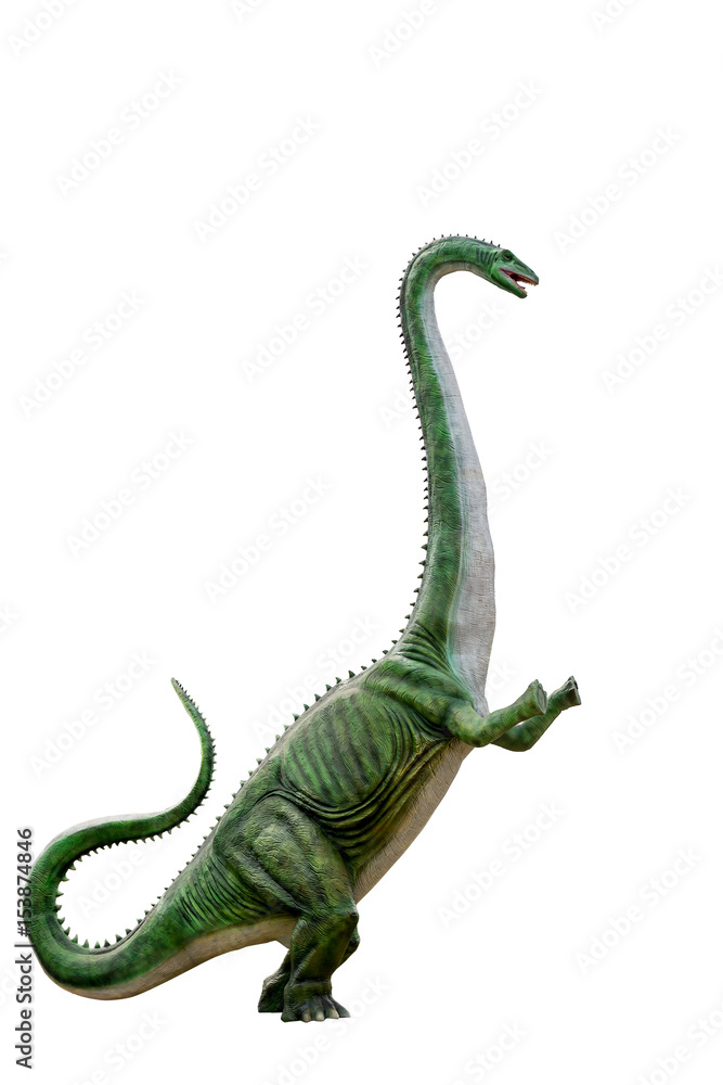 Fototapeta premium Dinosaur brachiosaurus and monster model Isolated white background