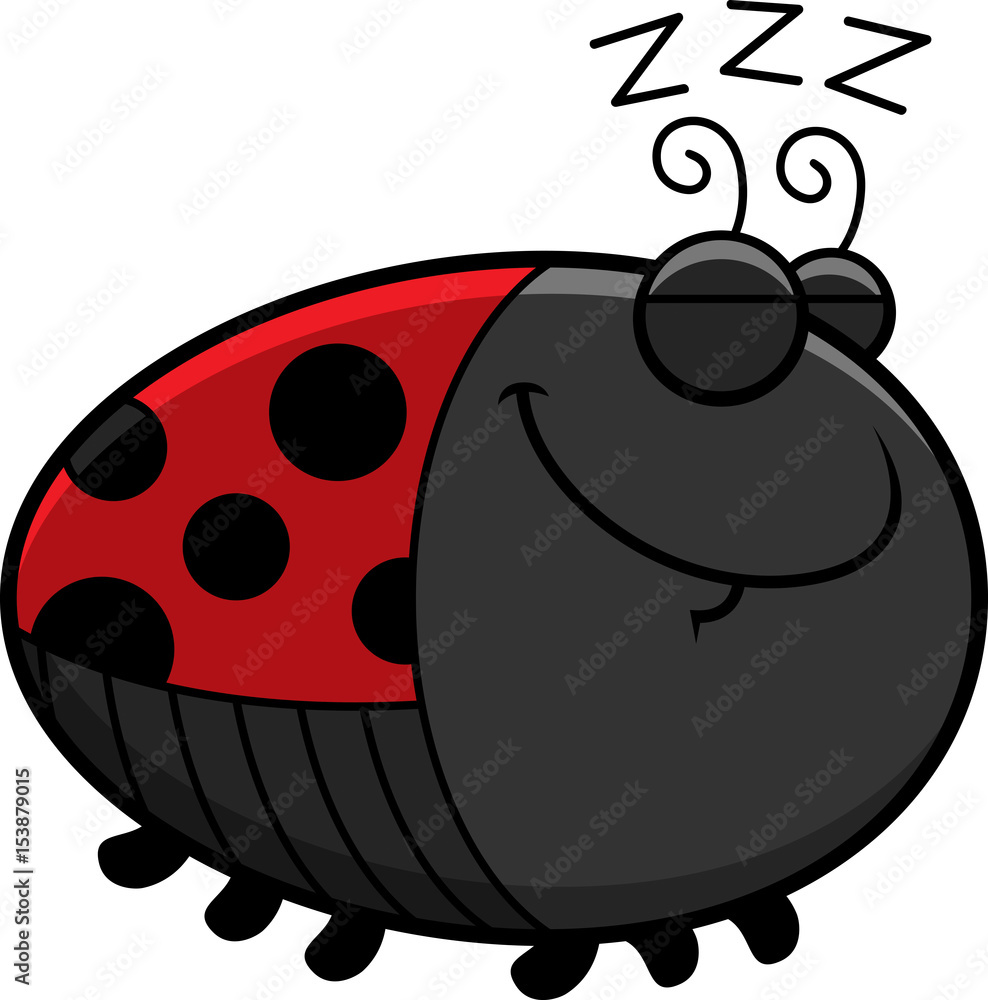 Obraz premium Sleeping Cartoon Ladybug