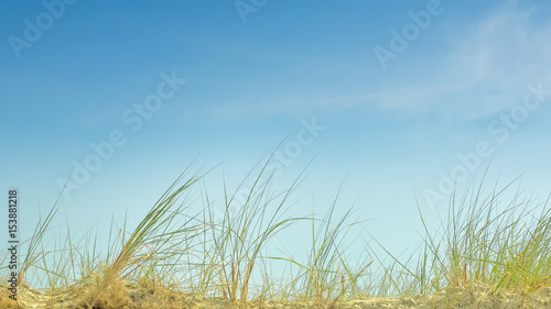 Blauer Himmel und Strandhafer an einem sonnigen Tag als Hintergrund