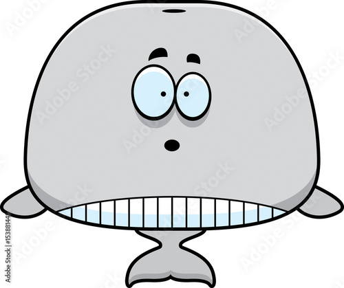 Surprised Cartoon Whale