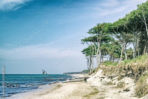 Der Weststrand auf der Halbinsel Darß in Mecklenburg-Vorpommern, Deutschland