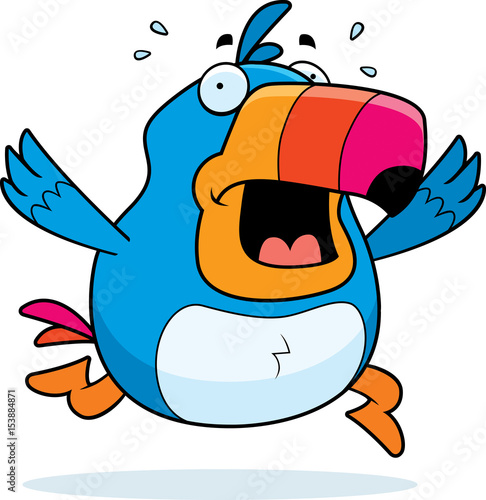 Cartoon Toucan Panic