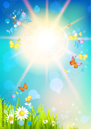 Bright sunshine and butterfly