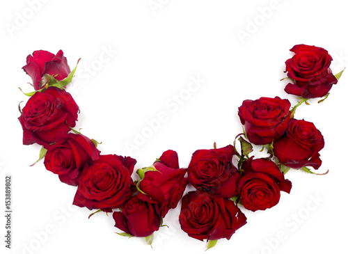 Fototapeta Naklejka Na Ścianę i Meble -  Semicircle of a red rose on a white background. Flat lay, top view decorated concept. of a red rose on a white background