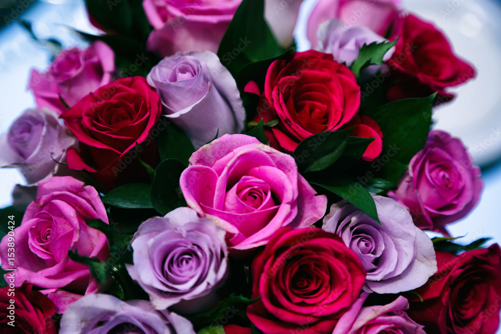 Obraz premium Flower Bloom