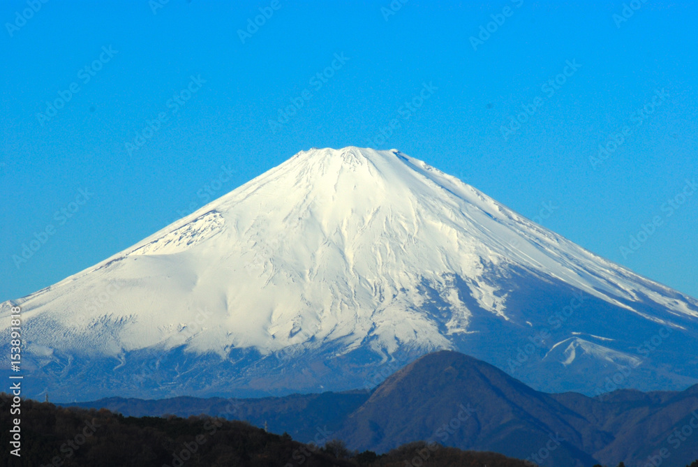 吾妻山の富士山と菜の花