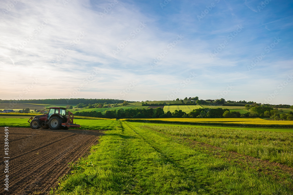 Fototapeta premium Another way in the fields