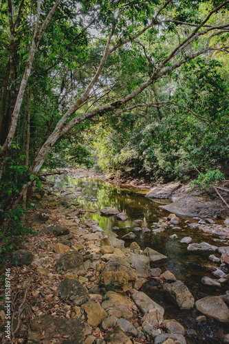 Fototapeta Naklejka Na Ścianę i Meble -  Small mountain stream in the shade of the tropical forest with snag tree in the foreground, Mu Koh Chang National Park, Thailand. View from the trail to the Khlong Phlu waterfall. Natural background.