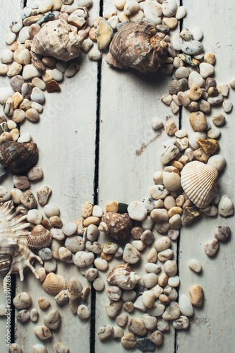 Shells on white wooden background