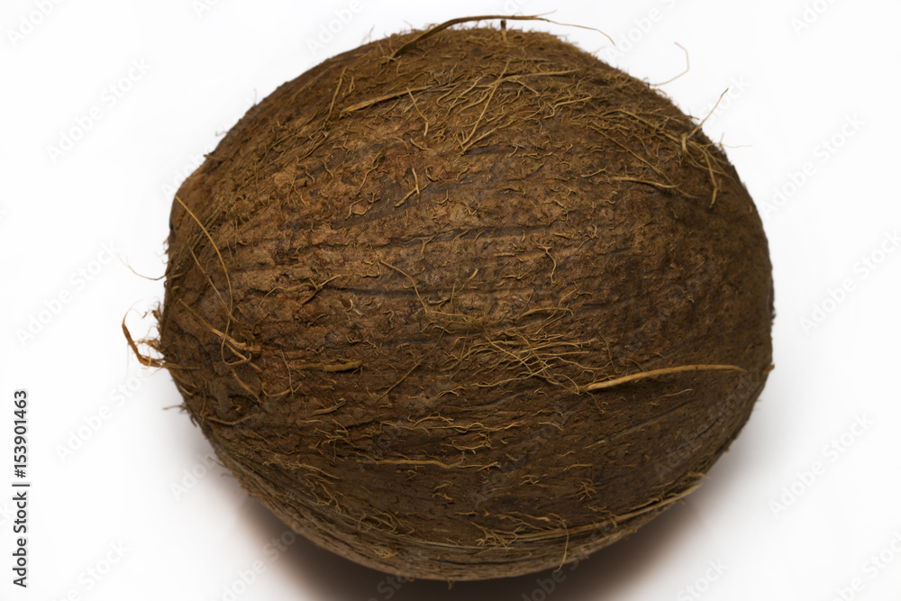 Tropical fruit coconut isolated on white Tropical fruit coconut isolated on white