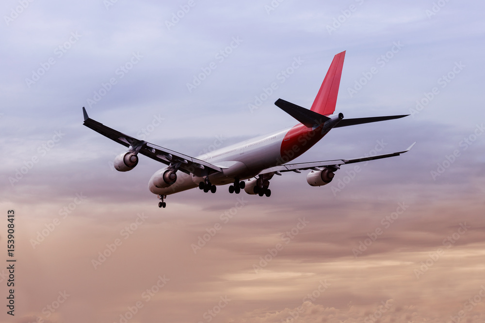 Obraz premium Plane landing